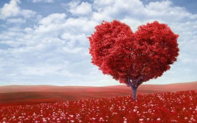 Post Valentine’s Day Special Online Class: Healing For Relationships, Wed. Feb 16th at 6:30 pm PST