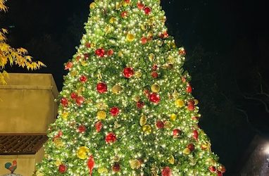 Gemini Full Moon & the changing of roles 2026