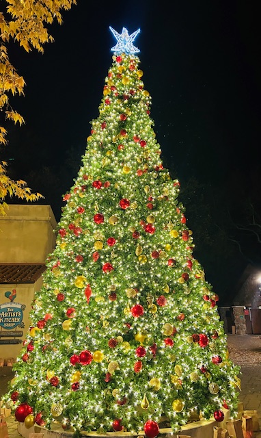 Gemini Full Moon & the changing of roles 2026