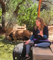 The Farm Animal & Wildlife Project in 2026
