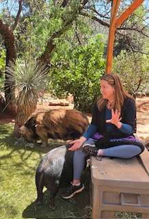 The Farm Animal & Wildlife Project in 2026